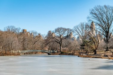 Göl kenarında kış sabahı. Ziyaretçiler Central Park 'ta kış sabahının keyfini çıkarırken ağaçlar çıplak duruyor ve donmuş bir göl ufuk çizgisini yansıtıyor..