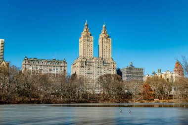 Central Park 'ın ikonik manzarası. Parıldayan su, ördekler yakınlarda yüzerken Central Park 'ın açık mavi gökyüzünün altındaki yüksek binaları yansıtır..