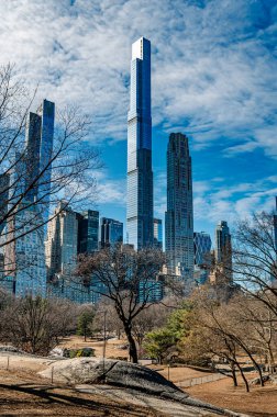 Central Park 'ın bahar ufuk çizgisi manzarası. Central Park 'ın üzerinde gökdelenler yükseliyor, New York' un gökyüzünü bahar zamanı parlak mavi gökyüzüne karşı sergiliyorlar..
