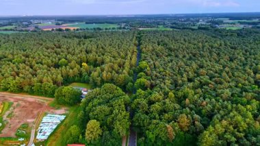 Yeşil tepelerdeki kırsal yollar. Yeşiller yemyeşil orman, gece ışığında ağaçların arasından geçen dolambaçlı bir yol boyunca uzanır..