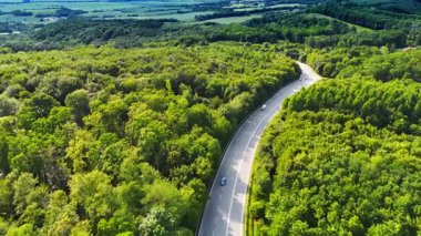 Bereketli ormanda dolambaçlı bir yol. Arabalar, açık mavi bir gökyüzünün altında, parlak ağaçlarla çevrili dolambaçlı bir yol boyunca seyahat ederler..