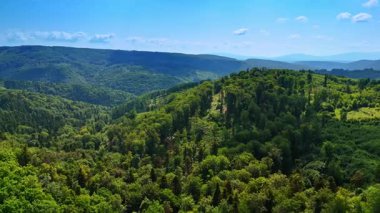 Açık mavi gökyüzünün altındaki yemyeşil tepeler. Geniş yeşil tepeler manzara boyunca uzanıyor, güneşli bir günde açık mavi bir gökyüzünün altında büyüyen bol ağaçlar..