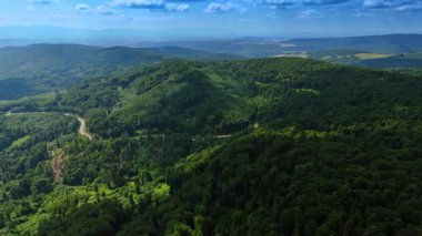 Parlak gökyüzünün altındaki yemyeşil tepeler. Parlak ağaçlarla kaplı yuvarlanan tepeler berrak mavi gökyüzünün altında uzanıyor, kırsal kesimde doğanın güzelliğini gözler önüne seriyor..