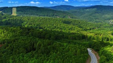 Yeşil manzara, mavi gökyüzü. Uçsuz bucaksız yeşil orman yuvarlanan tepeler boyunca uzanır parlak mavi bir gökyüzünün altında, kıvrımlı bir yol görünür mesafede..