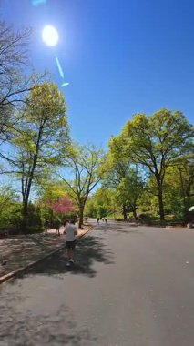 Central Park 'taki patikalar. İnsanlar canlı yeşilliklerle çevrili Central Park 'ta yürüyüş ve koşu günlerinin keyfini çıkarıyorlar..