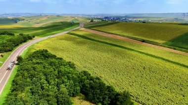 Yuvarlanan yeşil tepeler ve açık gökyüzünün altında dolambaçlı yollar. Bereketli yeşil tarlalar, güneşli bir günde tepelerin arasından esen bir yol gibi arazi boyunca uzanıyor..