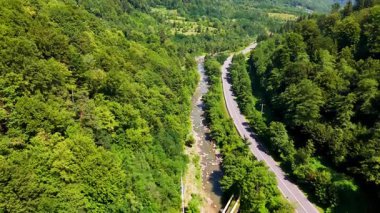 Yazın sık ormanda akan manzara nehri. Huzurlu bir nehir, yeşil yemyeşil bir ormanın içinde kıvrımlı bir yolda esiyor, doğanın huzurunu yakalıyor..