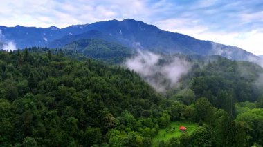 Huzurlu doğa sahasında gizlenmiş görkemli dağlar. Sislerle kaplı ormanlar ve tepeler bulutlu bir günde yüksek dağların altında yükselir..