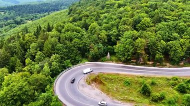 Bereketli yeşil orman manzarasında manzaralı dolambaçlı bir yol. Rüzgarlı yollar canlı yeşil ormanlar boyunca kıvrılır, kırsal kesimde güneşli bir günde doğanın güzelliğini gösterir..