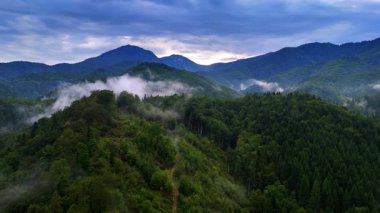 Şafak vakti sisli dağların çarpıcı hava manzarası. Sabah sisi dağlık araziyi örtüyor. Şafak sökerken yemyeşil ormanları ortaya çıkarıyor..