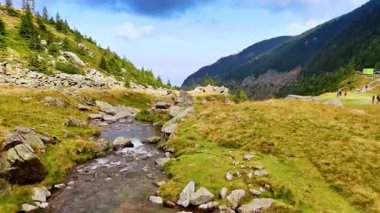 Transfagarasan yolunun yanındaki dağ deresi. Romanya 'daki Transfagarasan otoyolunun yanındaki bir derede akan su ve kayalar.