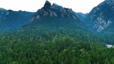Çarpıcı dağları kaplayan çam ağacının üzerinden uçuyor. Romanya 'nın Bucegi Dağları' nın insansız hava aracından güzel doğasının görüntüleri.