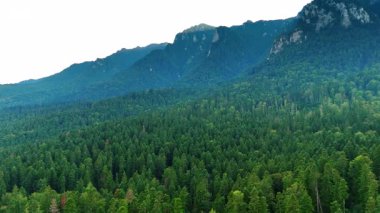 Busteni Vadisi üzerindeki Caraiman Platosu 'ndan görüntü. Caraiman Dağı 'nın yaylası Romanya' nın Busteni vadisine ve kasabasına bakıyor.