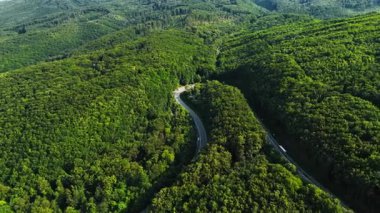 Dağ yolu sık orman manzarasını kesiyor. Bir dağ yolu sık bir orman manzarasının içinden geçer. Hava manzarası virajlı yolları ve zengin yeşil bitkileri vurguluyor..