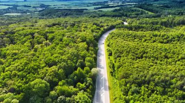 İnsansız hava aracı manzaralı yaz ormanı boyunca kıvrımlı bir yol. Kıvrımlı bir yolun yaz ormanını kesen drone görüntüsü. Çevrede yeşilliklerle çevrili otoban boyunca arabalar sürüyor..