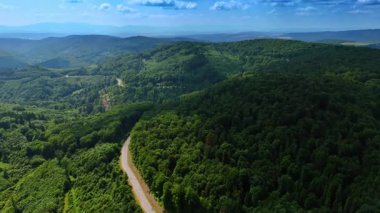 Orman yollu yeşil dağ tepelerinin hava manzarası yuvarlanan orman dağlarının dolambaçlı yolları. Tepelerin katmanları sisli ufka doğru uzanıyor..