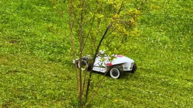 Otomatik çim biçme makinesi çimlerde çalışıyor. Modern patenciler tepeye doğru ilerlemeye çalışıyor..