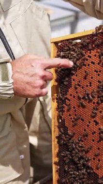 Arı dolu bal peteği tutan adam. Arı koruyucu elin ve arı kovanının çerçevesini kapat