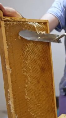 Bal peteğinden bal çıkarıyorum. Arıcı bal peteğinden sıcak bıçakla balmumu kapakları kesiyor.