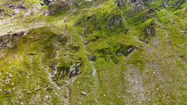 Devasa bir dağın yeşil yamacına yaklaşıyoruz. Büyük bir koyun sürüsü otlağı aramak için kayalıklarda yürüyor..