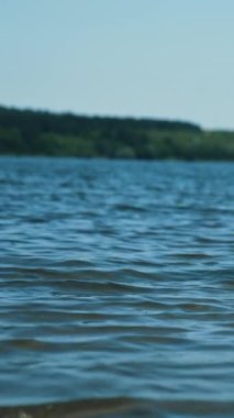 Şirin yaban ördekleri boyunlarını öne doğru uzatırlar. Vahşi ördekler nehirde oturur ve sonra uçup giderler. Dikey video