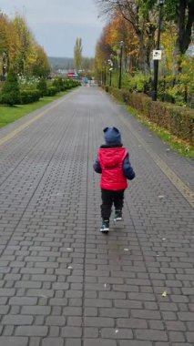 Güzel bir sonbahar parkında sokakta koşan sevimli bir çocuk. Bebek bir saniyeliğine bankta durur ve sonra yürümeye devam eder. Dikey video