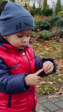 Parkta güzel, barışçıl, şapkalı, kırmızı ceketli bir beyaz çocuk var. Bebek sonbahar parkında yürüyor. Dikey video