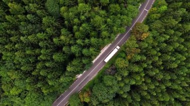 Dalgalı otobanda, gür ormanlarda uzun beyaz kamyonlar sürüyor. Dağlık bölgede modern yol. Hava görünümü.