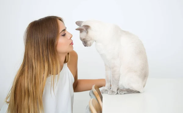 ゴージャスなブルネットの彼女の猫を愛する — ストック写真