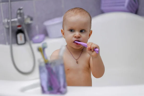 Ένα Κοριτσάκι Βουρτσίζει Δόντια Της Ένα Λιλά Μπάνιο Δίπλα Του — Φωτογραφία Αρχείου