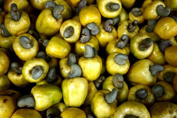 Fresh and ripe cashew fruit