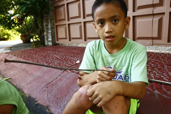 Młody azjatycki chłopiec zegarki pająki walczących na drewnianym drążku. — Zdjęcie stockowe
