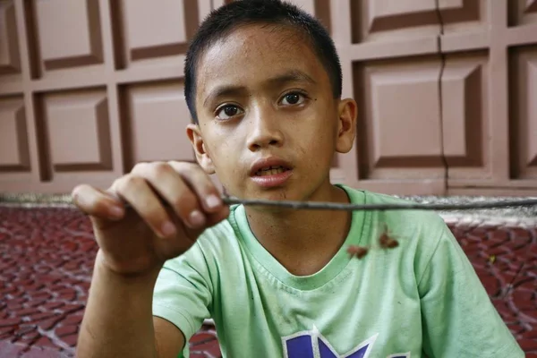若いアジアの少年は、木の棒で戦うクモを見ます. — ストック写真