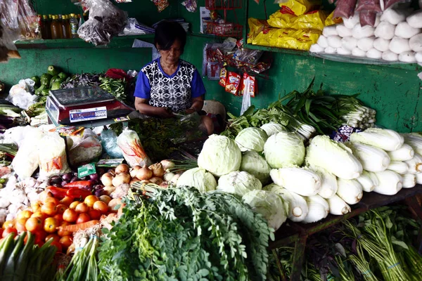 Bir kamu pazarında sebze standında ekranda çeşitli taze sebzeler. — Stok fotoğraf