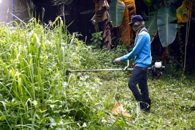 İşçi boş konutlarda uzun ve uzun otları kesiyor..