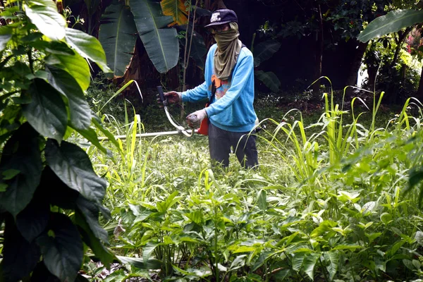 Lavoratore taglia erba selvatica lungo e alto a vuoto lotto residenziale . — Foto Stock