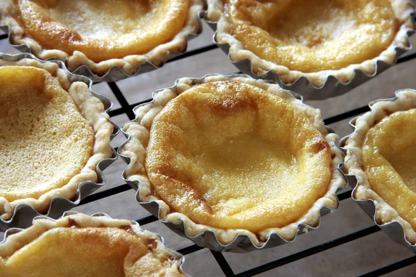 Foto Tartas Huevo Recién Horneadas — Foto de Stock