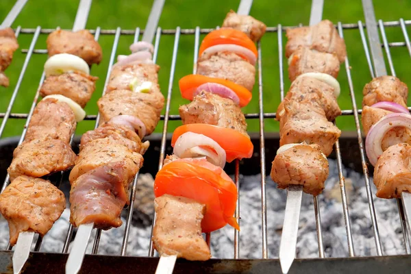 Die Reihenfleischstücke Spieß Werden Unter Freiem Himmel Auf Einem Holzgrill — Stockfoto