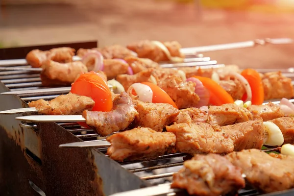 Linha Partes Fritas Kebab Espetos Assam Uma Grelha Livre Prato — Fotografia de Stock