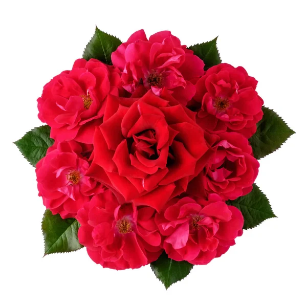 Strauß Vieler Roter Rosen Isoliert Auf Weißem Grund Ansicht Von — Stockfoto