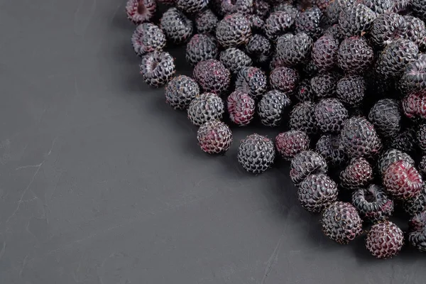 Olgun doğal koyu arka plan üzerinde siyah Ahududu. Yakın çekim görünümü. Metin için yer kopyalayın