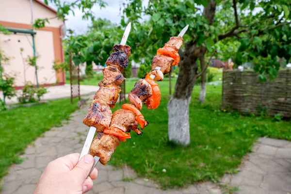 Dois Espetos Com Kebabs Shish Suculentos Uma Mão Masculina Contra — Fotografia de Stock