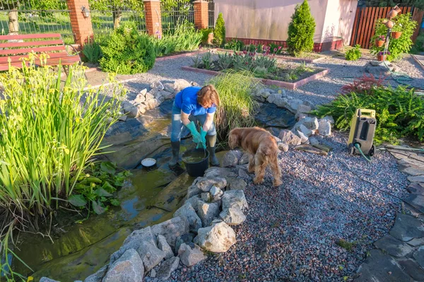 Mujer blanca de mediana edad y su perro limpia estanque de peces de limo —  Fotos de Stock