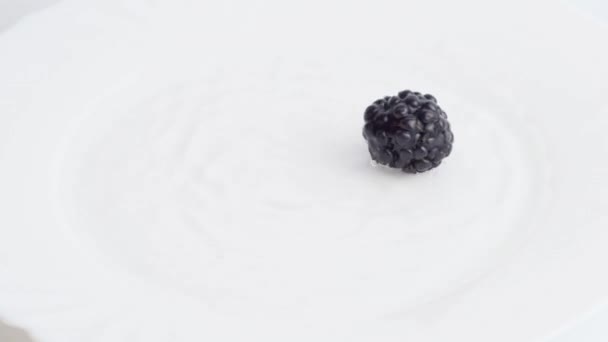 Fresh blackberries falls into water in the pate. — Stock Video