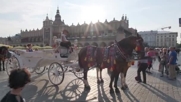 Krakau Polen - 24.08.2019: Marktplatz - Startplatz für Pferde- und Kutschfahrt durch die Krakauer Altstadt — Stockvideo