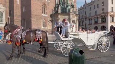 Krakow Polonya - 08.24.2019: Pazar Meydanı - Krakow Old City üzerinden at ve fayton yolculuğu için başlangıç yeri