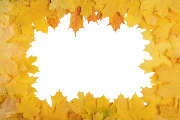 frame composed of yellow autumn leaves isolated on white