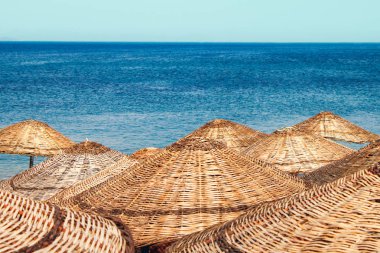 denizde plaj saman şemsiyeler