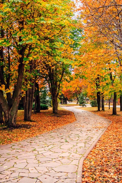 Sahnedeki patika sonbahar parkı, doğa