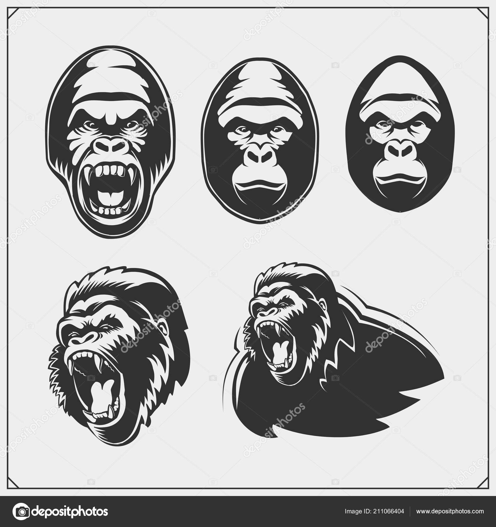 すべての動物の画像 50 ゴリラ イラスト 白黒 すべての動物の画像 50 ゴリラ イラスト 白黒